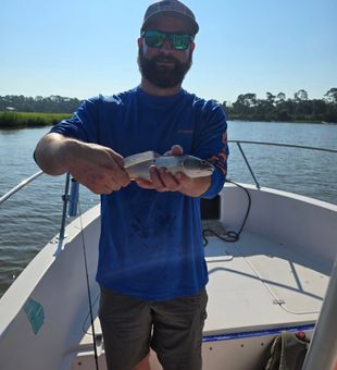 Redfish caught in Savannah waters