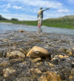 Alberta's Finest Trout Fishing Adventures