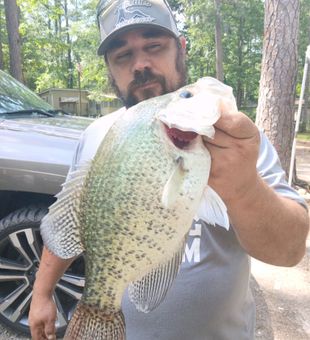 Scenic fishing adventures on Coosa River