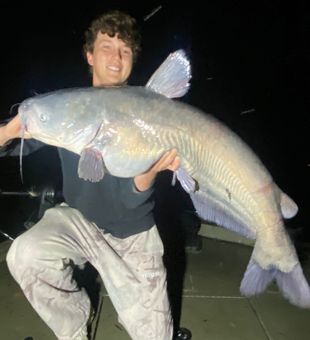 Cave Spring blue catfish bringing the heat!