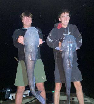 Cave Spring GA blue catfish hitting hard tonight!
