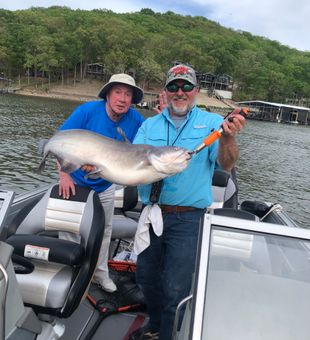 Lake of the Ozarks fish, Catfish Fishing