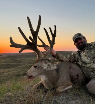 Trophy deer ready for field dressing