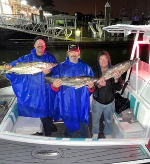 Great nighttime catch—three hefty Snook landed in New Smyrna Beach!