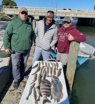 Great haul — Seatrout, Sheepshead, and Drum from New Smyrna Beach!