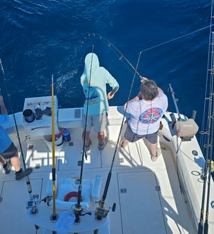 Best Fishing Charter in Islamorada