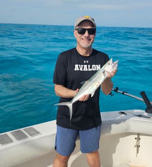 Spanish Mackerel in Florida 