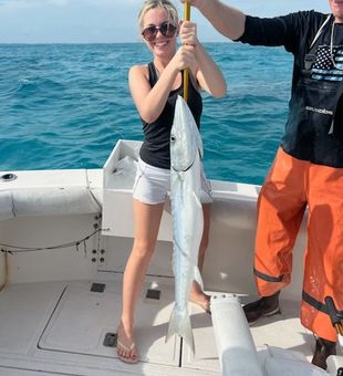 Barracuda Fish Delight