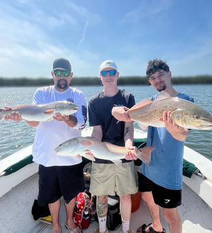 Triple redfish success in Holmes Beach waters!