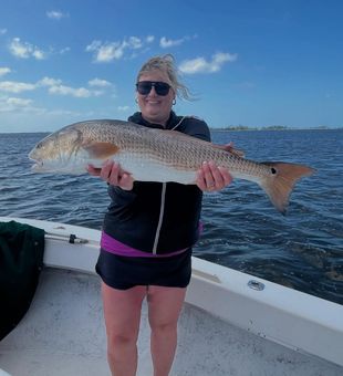 Inshore bite near the island