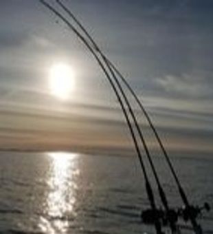 The Beauty of Lake Erie from Oak Harbor!