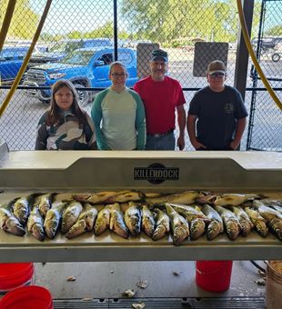 Another successful fishing charter haul in Erie PA!