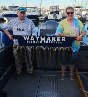 Epic Walleye Fishing Haul
