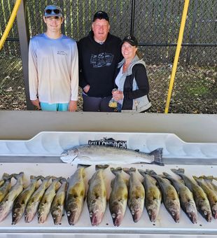 Outstanding walleye limits from Erie PA waters!