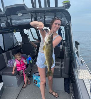 Chasing bites out of Erie, PA