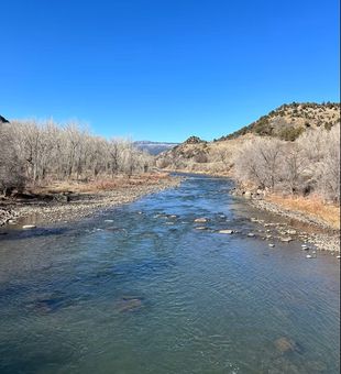 San Juan River wildlife viewing​
