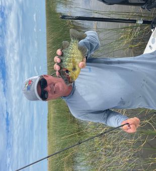 Nice Palmetto redear sunfish from today's fishing tour!