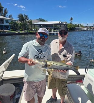 Beautiful snook caught in Palmetto FL waters!