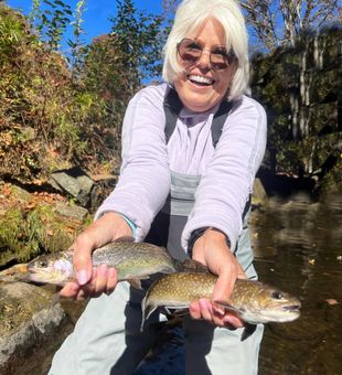 Asheville's fly fishing: casting for memories.