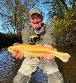 Wade Fishing for Trout!