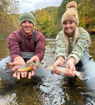 Cast lines, chase trout. Asheville's fly fish.