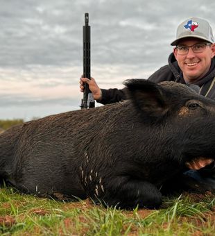 Texas Beauty: Boar Hunting