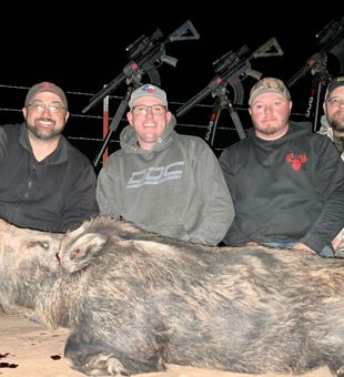 Wild Boar Hunt: Unleash Your Adventurous Spirit!