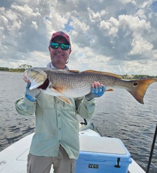 Solid redfish catch