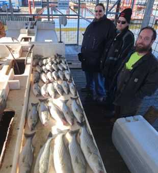 Lake Texoma never fails to give Stripers