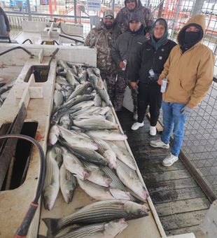 Limiting out of Stripers in Lake Texoma