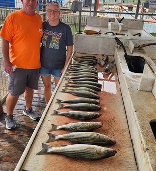 Chasing hard-fighting Stripers across the legendary waters of Lake Texoma.