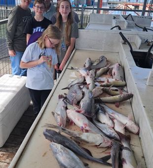 Big Catfish Stack - Kingston, OK.