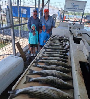 Kingston OK striped bass filling up the cleaning station!