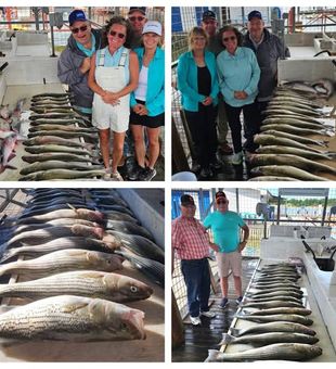 Sunrise over Lake Texoma and rods bending — that’s fishing in Kingston done right.