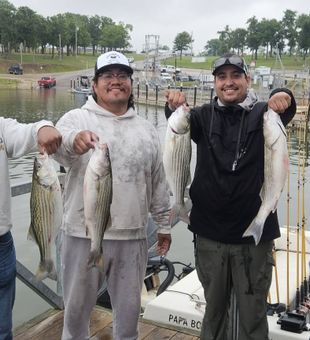 Excellent striped bass action in Kingston OK!