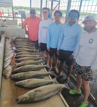 Outstanding striped bass limit from Kingston OK waters!