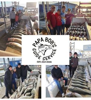 Success Stories! - Kingston, OK.