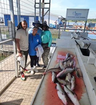 Catfish Haul - Kingston, OK.