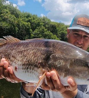St. Petersburg, FL fishing