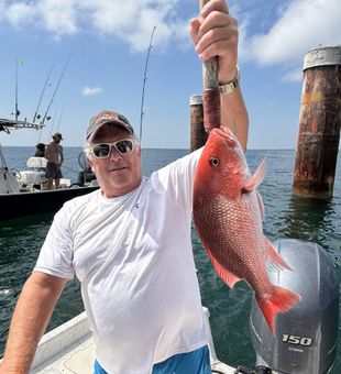 Bright red snapper haul
