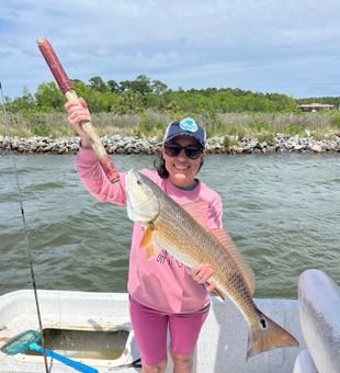 Solid redfish catch