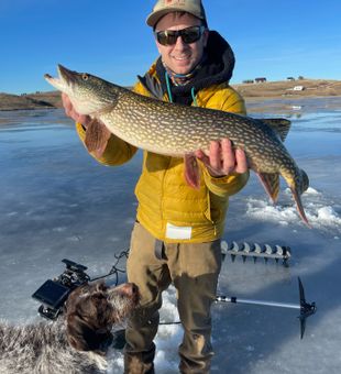 Pike Fishing