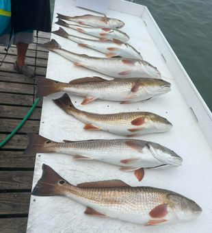 Adventure awaits with every cast in South Padre Is