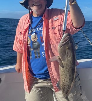 Get Your Grouper Fish On!