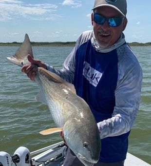 Red Drum catch in Corpus Christi TX Fishing Trips