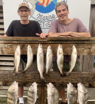 Trout and Drums - Corpus Christi, TX.
