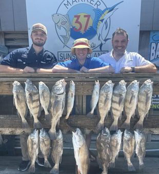 Black Drum Stack - Corpus Christi, TX.
