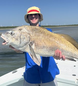 Monsters are here - Corpus Christi, TX.