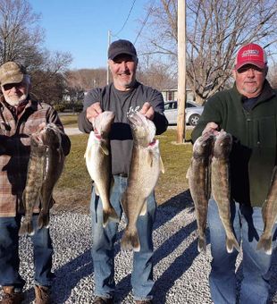 Top Bass Fishing in Bellville, Michigan