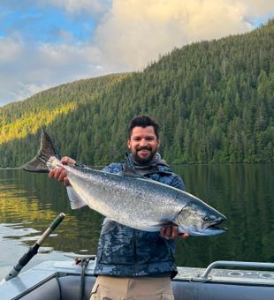 Powerful Chinook salmon catch